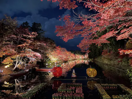 ✏️来週の予定/弘前五所川原大釈迦ヒカル店長 イチオシ◎