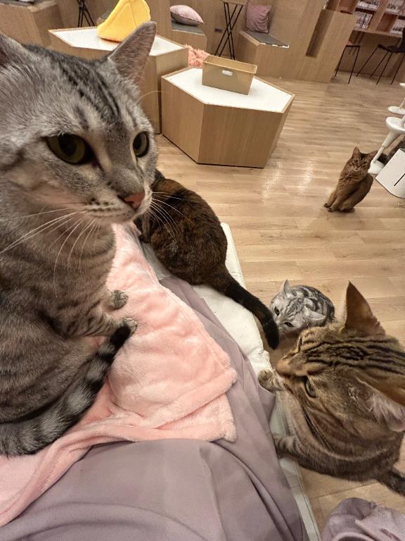 ふみエススタイルクラブ