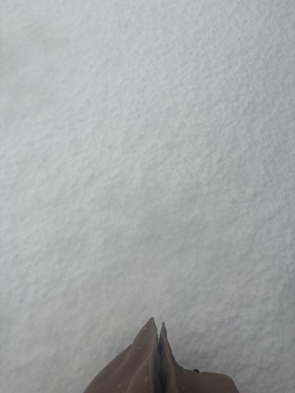 朝からびっくり⛄️