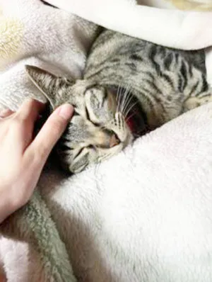 寒いね