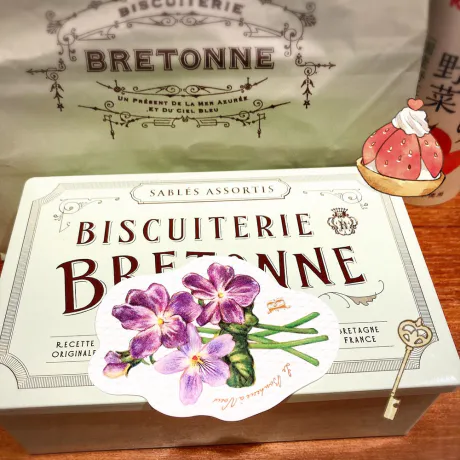 地味な戦い /さやか