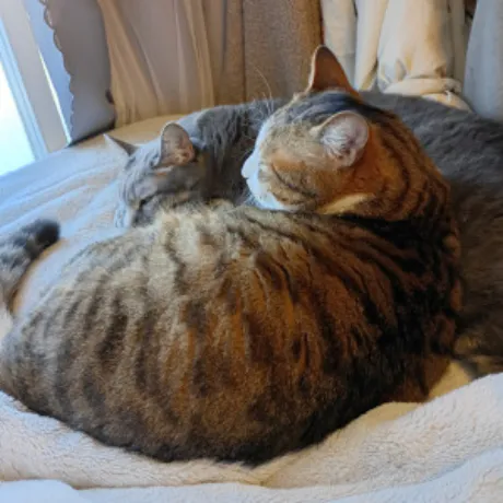 ゆうな 奥様仙台人妻セレブリティー