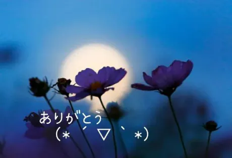 ゆきえおばさんの店