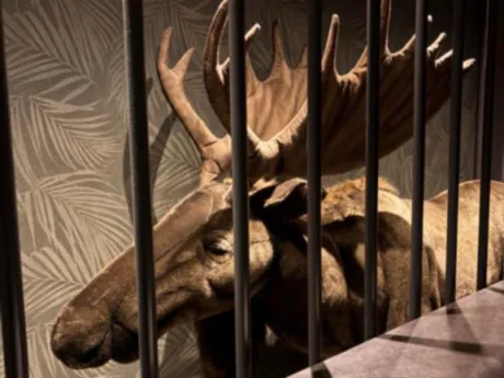 じゅんな奥様メモリアル