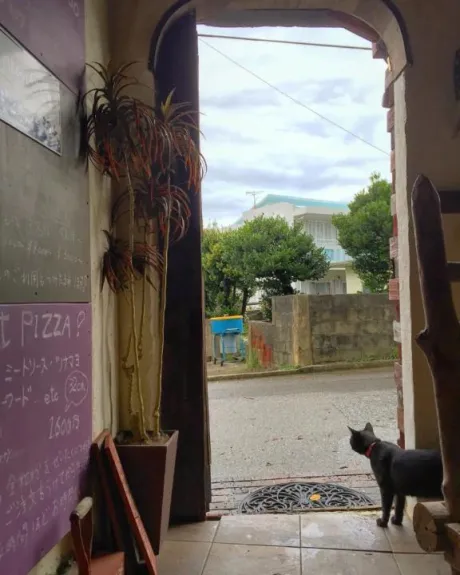 鈴夏(すずか)おばさんの店　FC　古川店