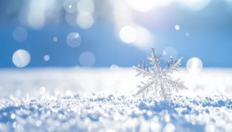 カムバック/ことみ【弘前黒石】