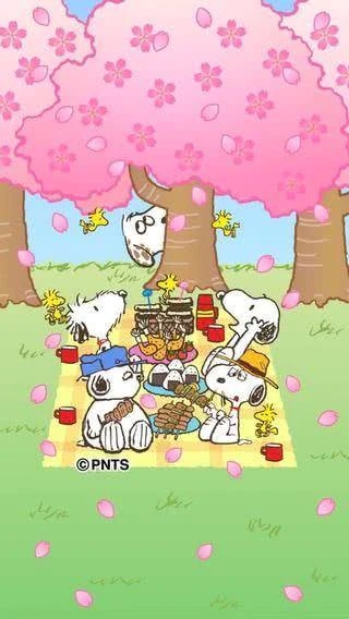 体験アユ人妻生レンタルーNTRー