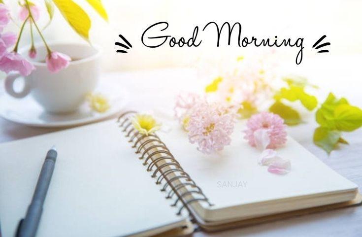 04/04 09:54ゆりか