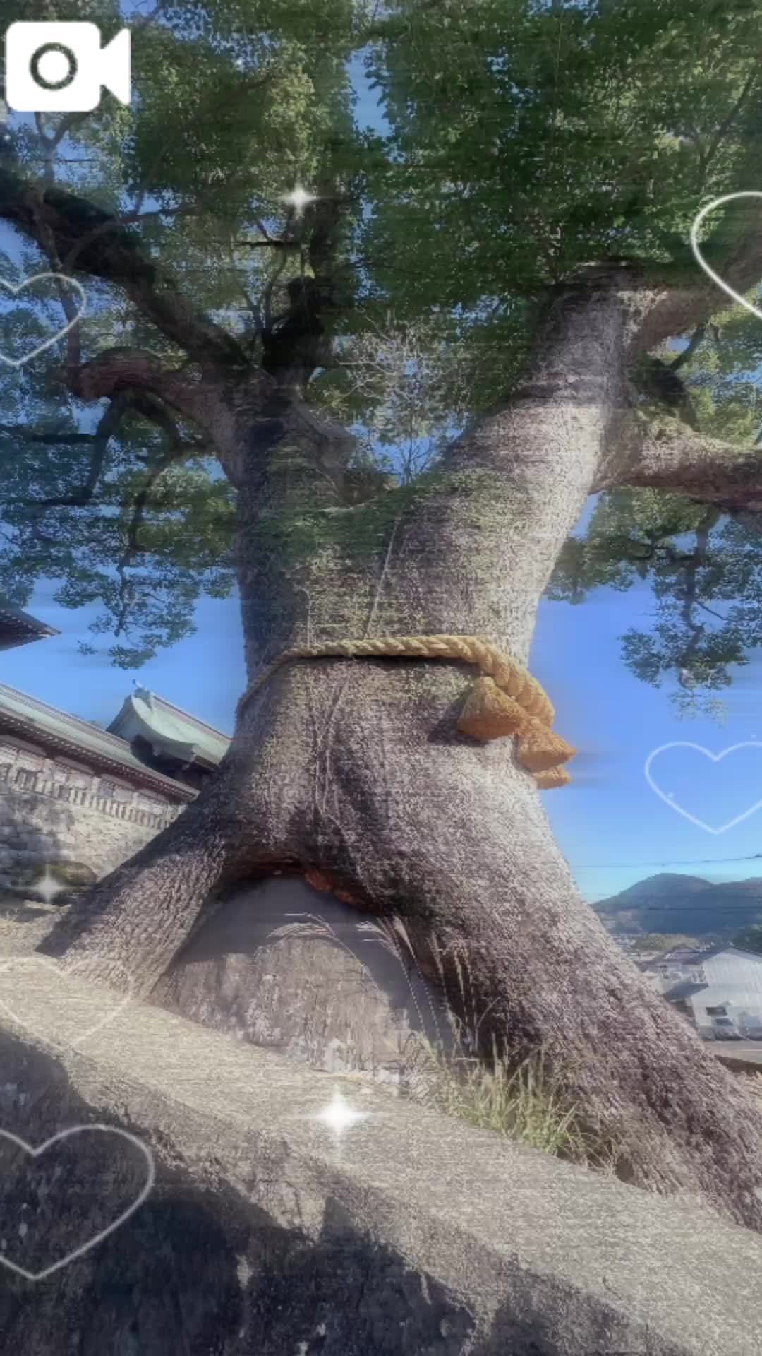 みんなにパワーのおすそ分け☀️