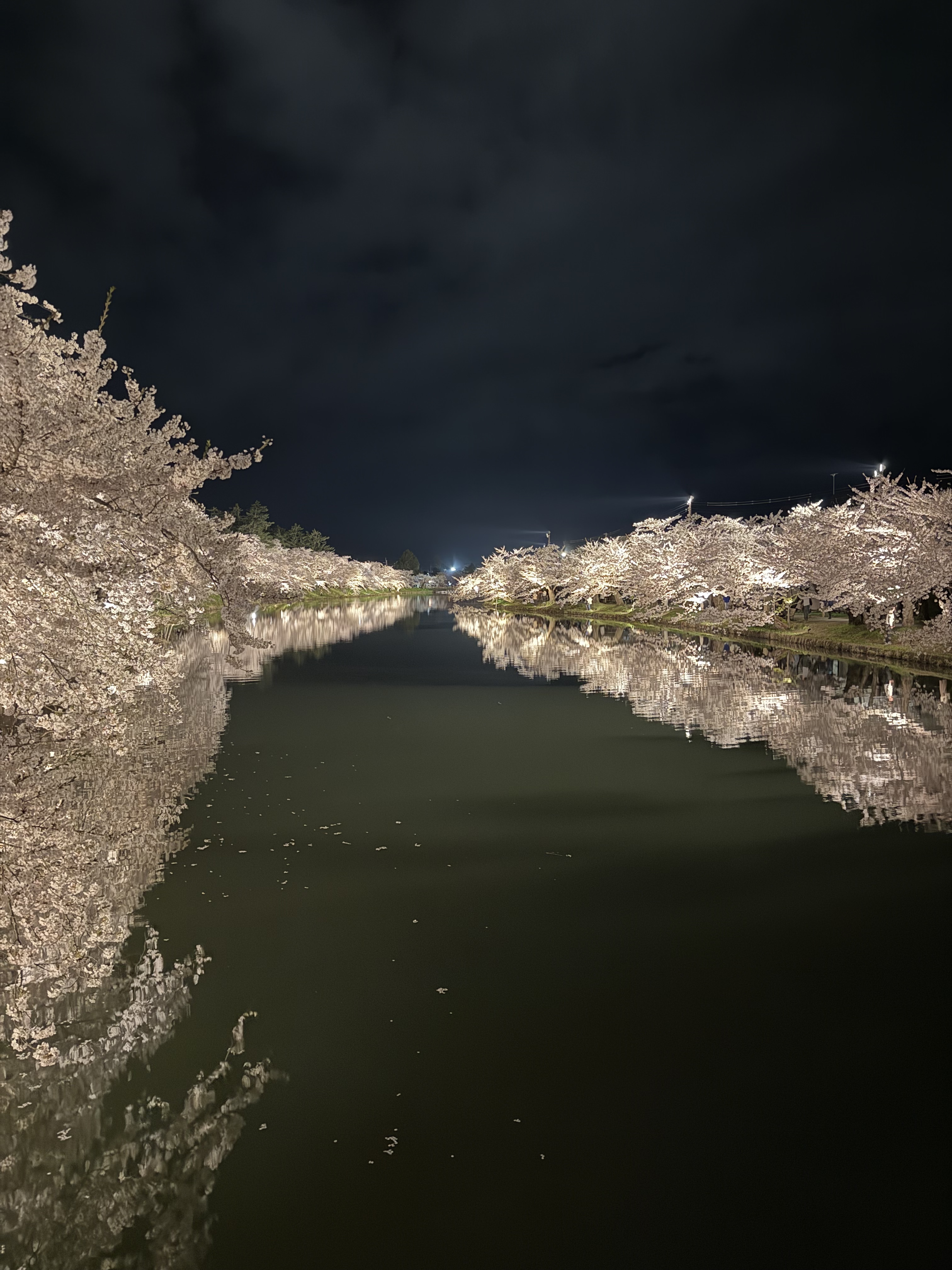 あいり[弘前]のブログ まだかなー