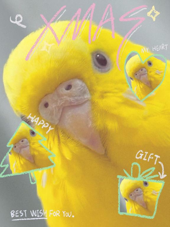 しおり素敵な女の子は好きですか?