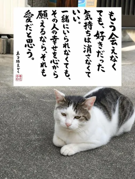 愛だろっ♪愛♡/シオン