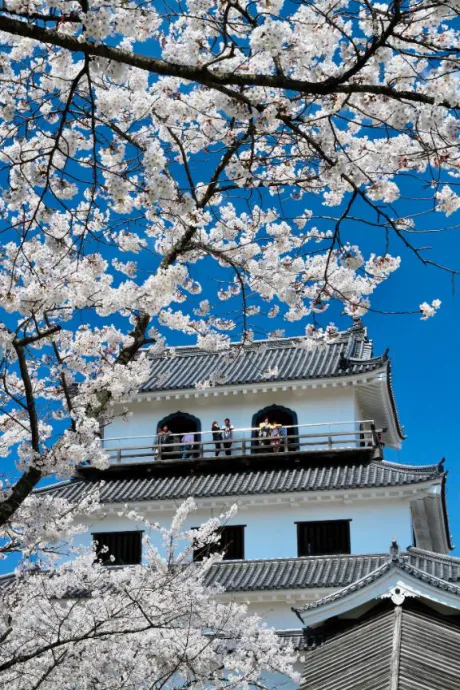 新人あず奥様メモリアル