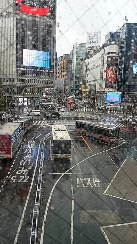 04/26 22:51若菜（わかな）