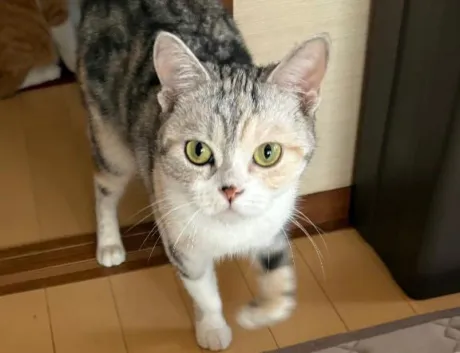 ご予約ありがとうー