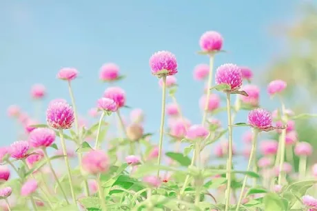 本日出勤/ゆりか
