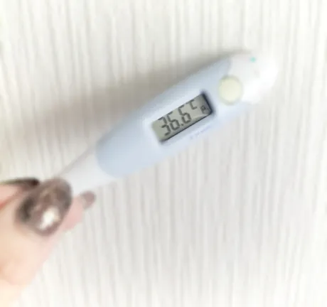 🌷🌷🌷/さな【弘前黒石大釈迦】