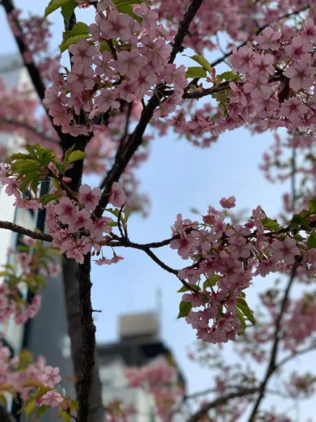 筋肉痛💪🏻/ユイナ