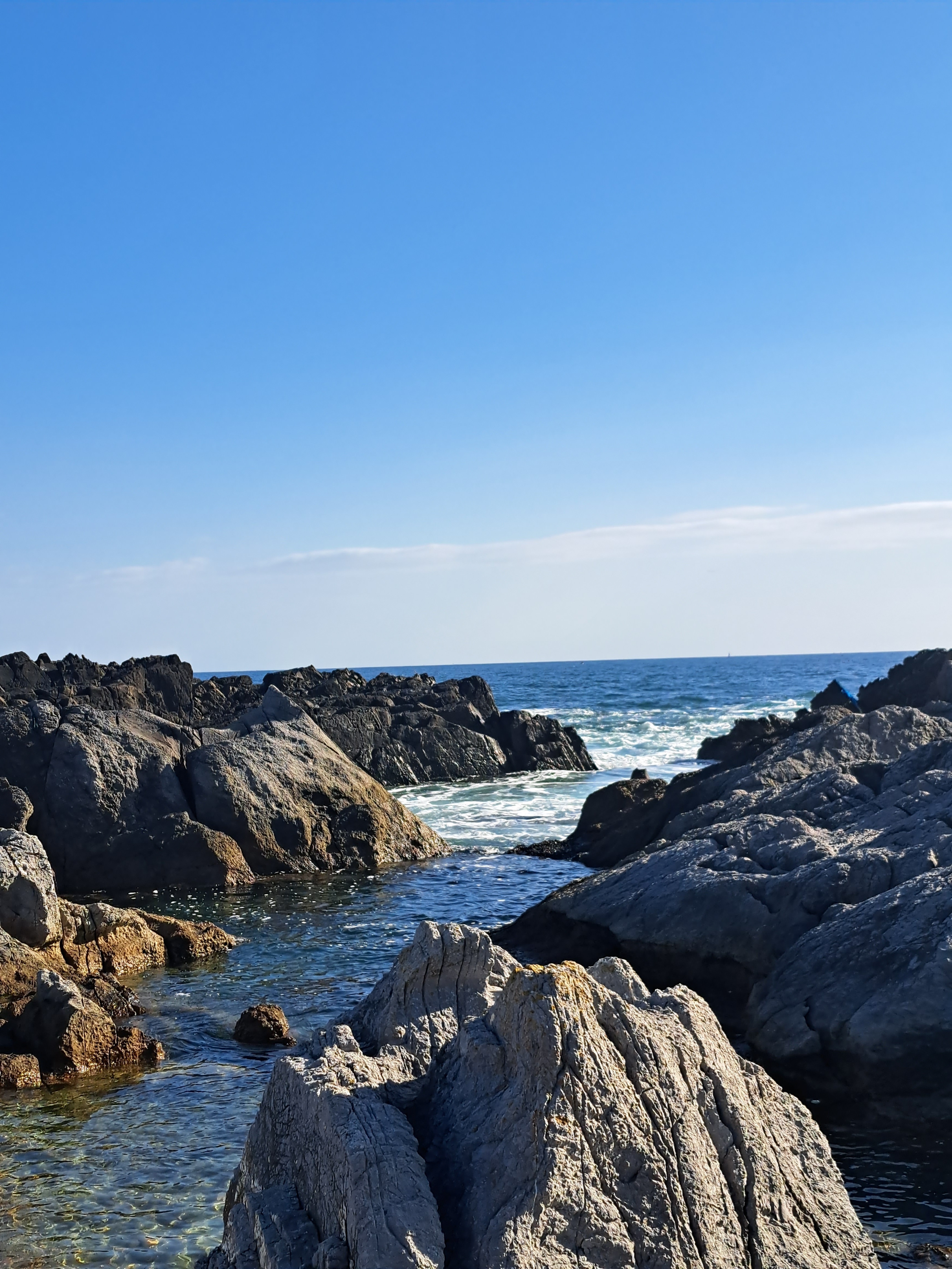 今、お店にいます!