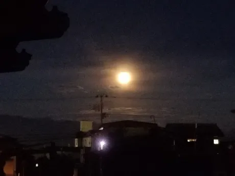 ❣️ 朧月夜 ❣️/ちなつ