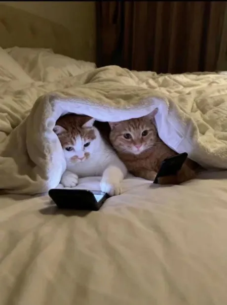 あのロイヤルクラブ