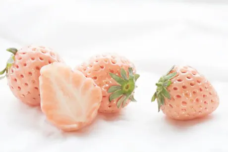 明日/ゆりか