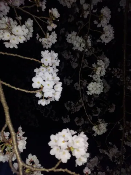 ミナミ人妻生レンタルーNTRー