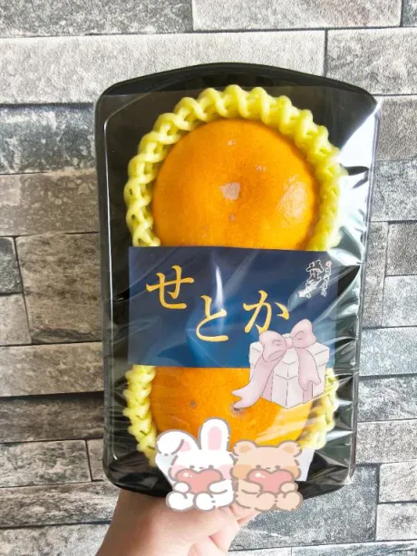 温泉の日/後藤(ごとう)