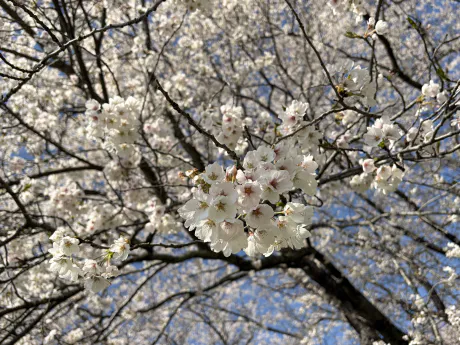 【北上】由美-ユミ-のブログ 