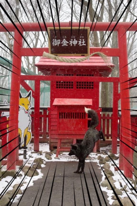 あむデリヘルで遊ぼう!!-仙台店-