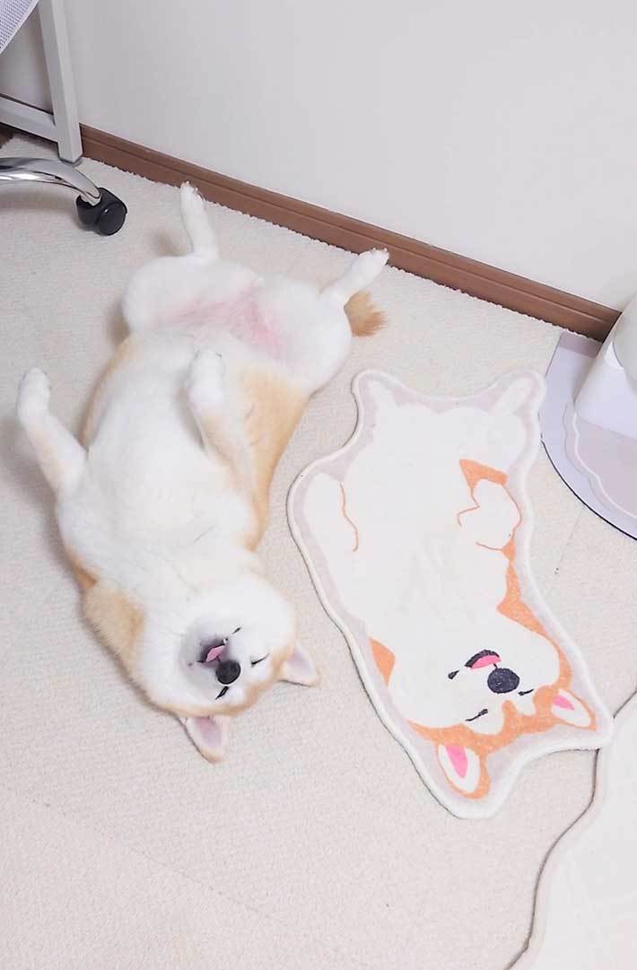寒いな～ (。- ∀ -)