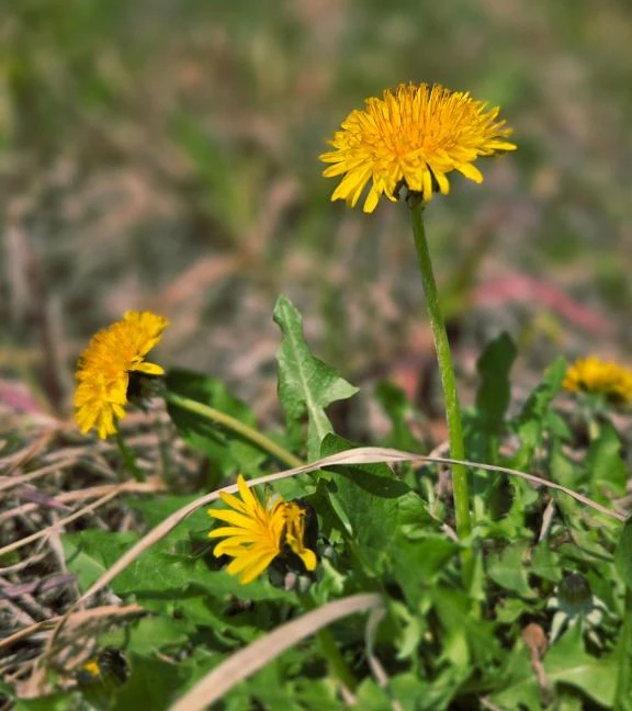 ゆあ仙台回春性感マッサージ倶楽部