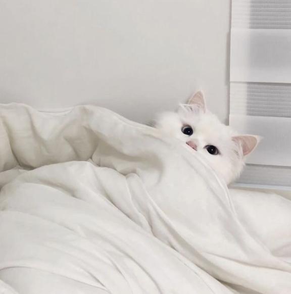 おはようございます♡