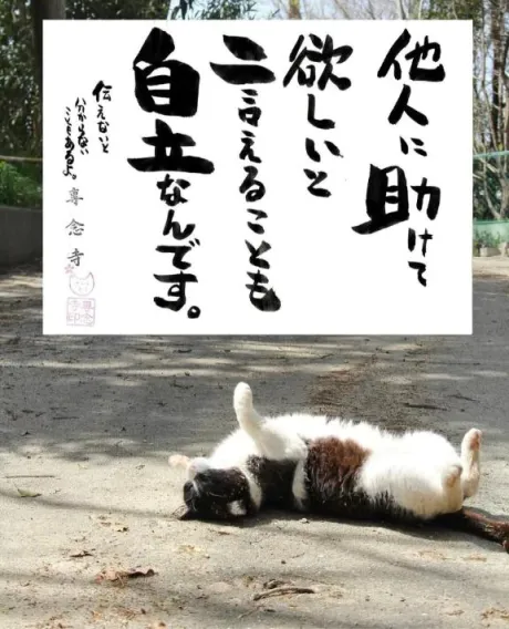 シオン人妻生レンタルーNTRー