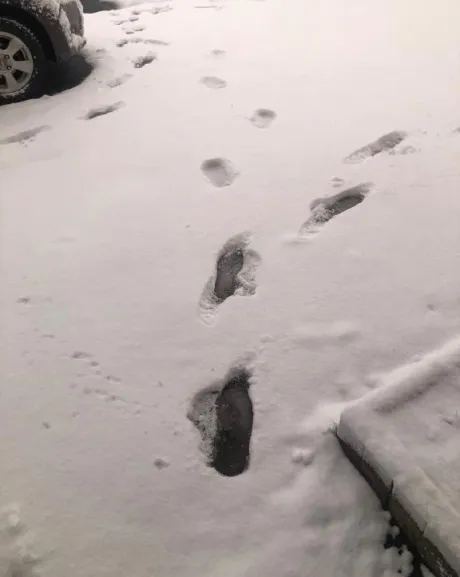 まやおばさんの店　FC　古川店