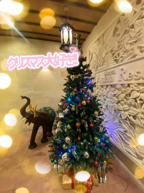 ぷりんDeliysCure仙台
