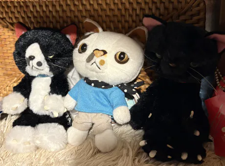 (୨୧•͈ᴗ•͈)◞ᵗʱᵃᵑᵏઽ*♡/【新人】ゆい