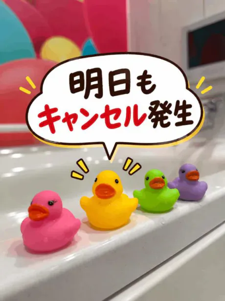 明日のキャンセル出ました🌸/しの