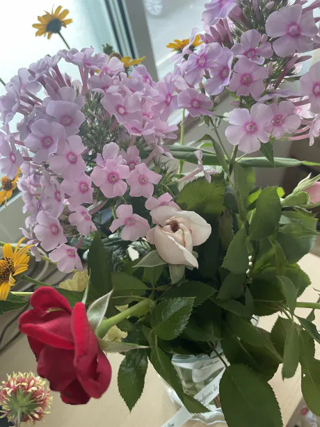 昨日のお礼💌/ななみ【弘前黒石】