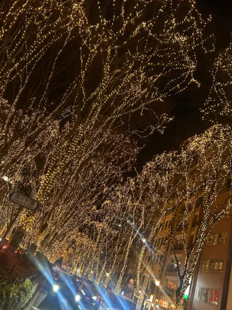 ゆま奥様メモリアル