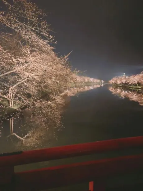 のあ弘前のブログ 約１ヶ月