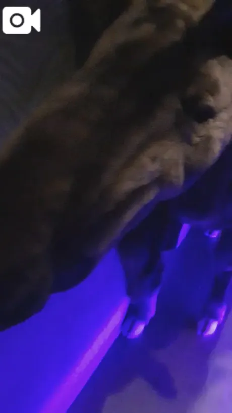 ゆこおばさんの店　仙台FC