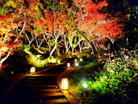 行ってきたよ～/なお[弘前]