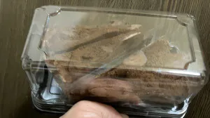 後悔先立たずってほんとね。/かりん 奥様