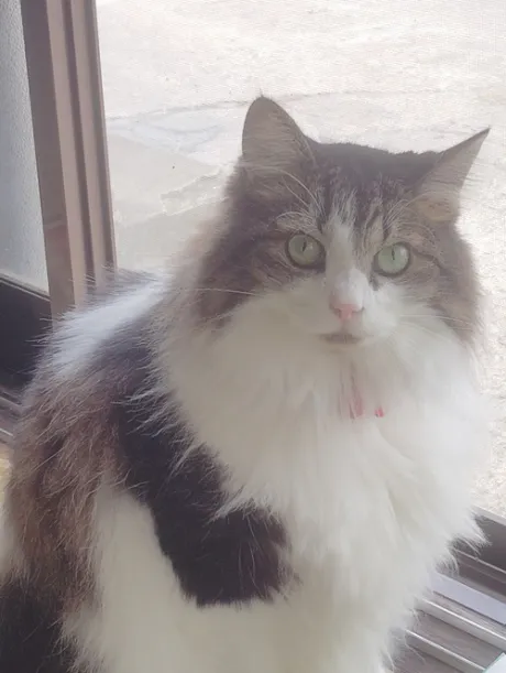 カワイイ😍😍