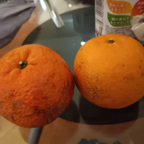 ゆうな 奥様仙台人妻セレブリティー