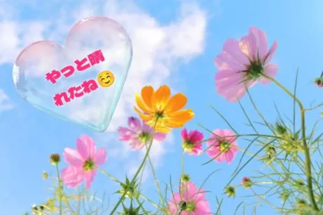 遊びにいらしてくださいね🩷
