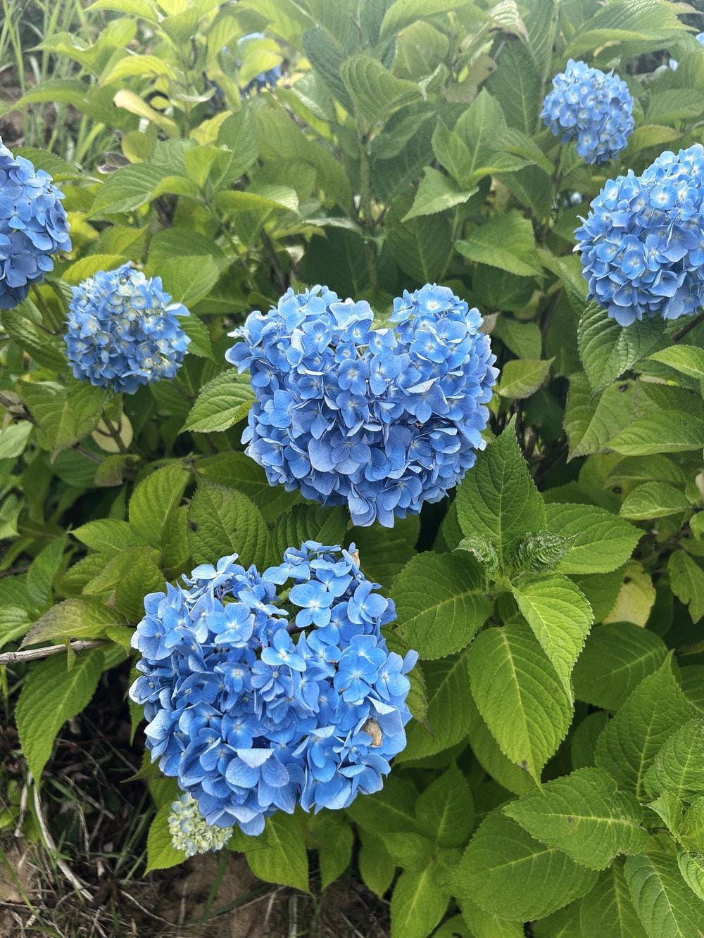 一人旅💐🎀⟡.·