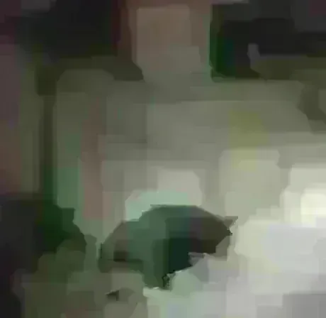 久しぶりだよ/ミコ