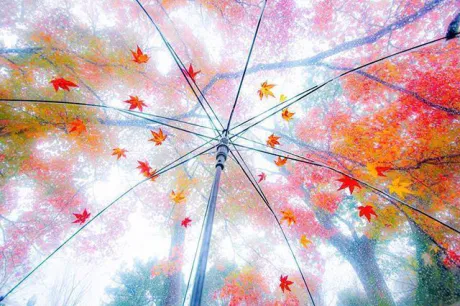 おはようございます/ゆりか